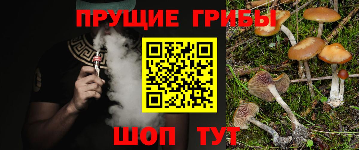 Галлюциногенные грибы прущие грибы  Вход с VPN  Краснознаменск 