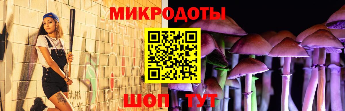 Псилоцибиновые грибы мухоморы Краснознаменск